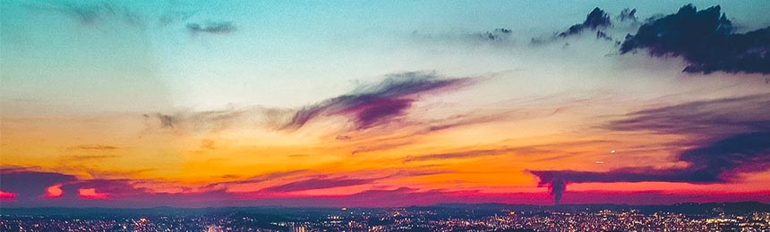 白山茶虫网_白山品茶